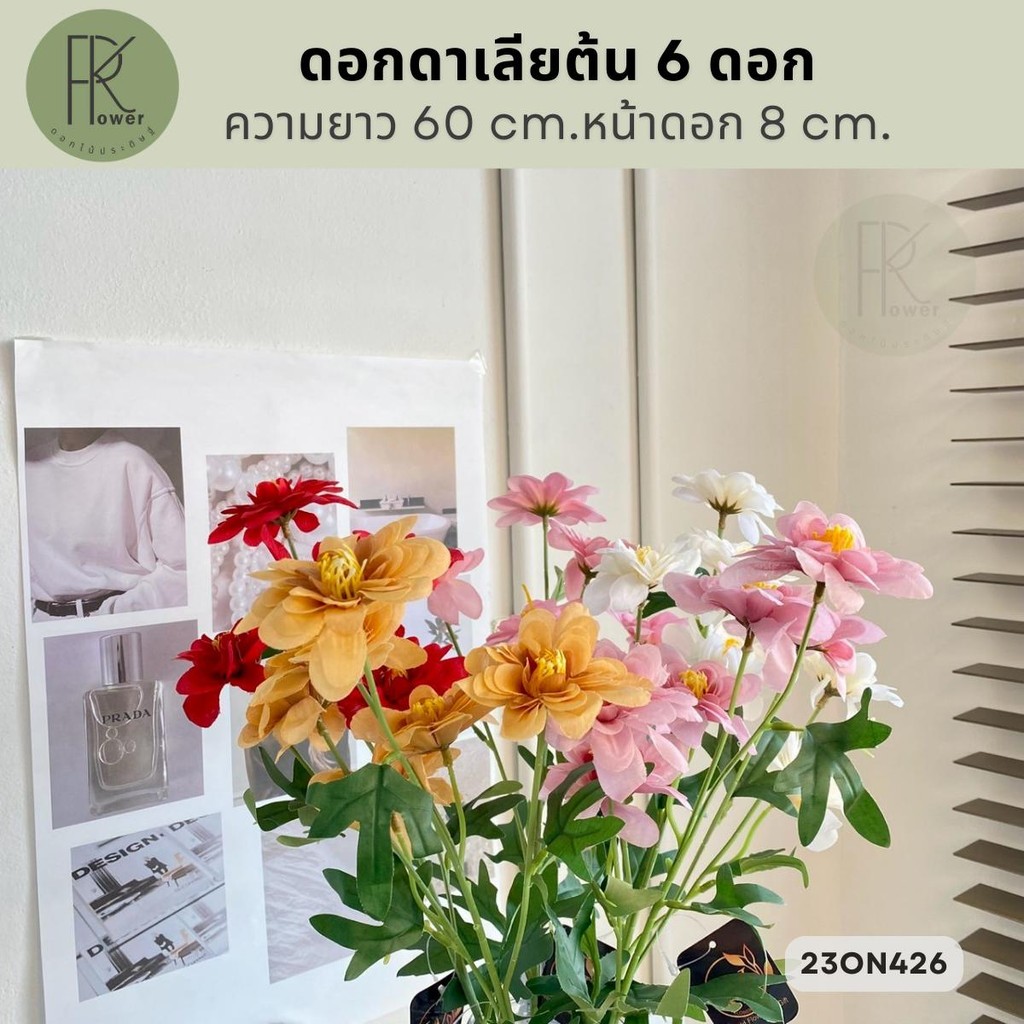ดอกดาเลียต้น 6 ดอก  ความยาว 60 cm.หน้าดอก 8 cm.