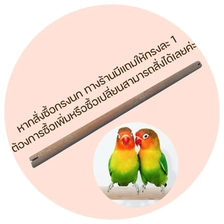 ไม้คอนนก ไม้คอน ไม้คอนเกาะ คอนเกาะนก ผ่าร่องแล้ว สำหรับใส่กรงนก คอนไม้ คอนนก พร้อมส่ง !! รหัส P029