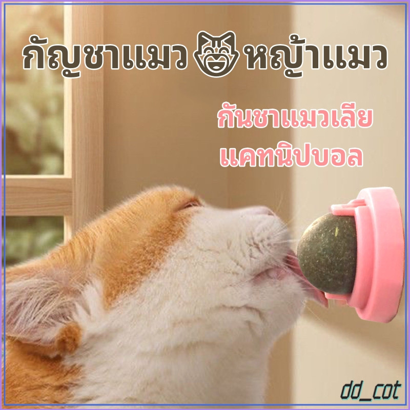 กัญชาแมว ของเล่นแมวเลีย ติดกำแพง 4.5cm ซุปเปอร์ใหญ่ แคทนิปบอล catnip ball 10cm ผ่อนคลาย อารมณ์ดี