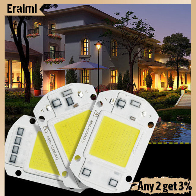Eralml 220v Led Floodlight 20w/30w/50w White/warm Light Cob Chip Integrated Smart Ic Driver Lamp