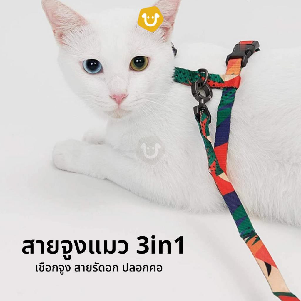 Upets เซ็ตสายจูงสัตว์เลี้ยง 3in1สายจูง เชือกจูงแมวพร้อมสายรัดอก ปลอกคอ