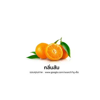 ชุดทำน้ำยาล้างจาน ปริมาณทำได้ 15ลิตร I กวนง่าย แถมสูตรวิธีทำให้ทุกชุด