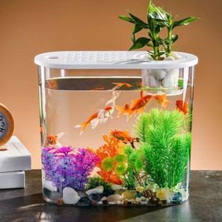 ตู้ปลาพลาสติก ตู้ปลา ตู้เลี้ยงปลา อ่างเลี้ยงปลา รูปไข่พร้อมฝ…