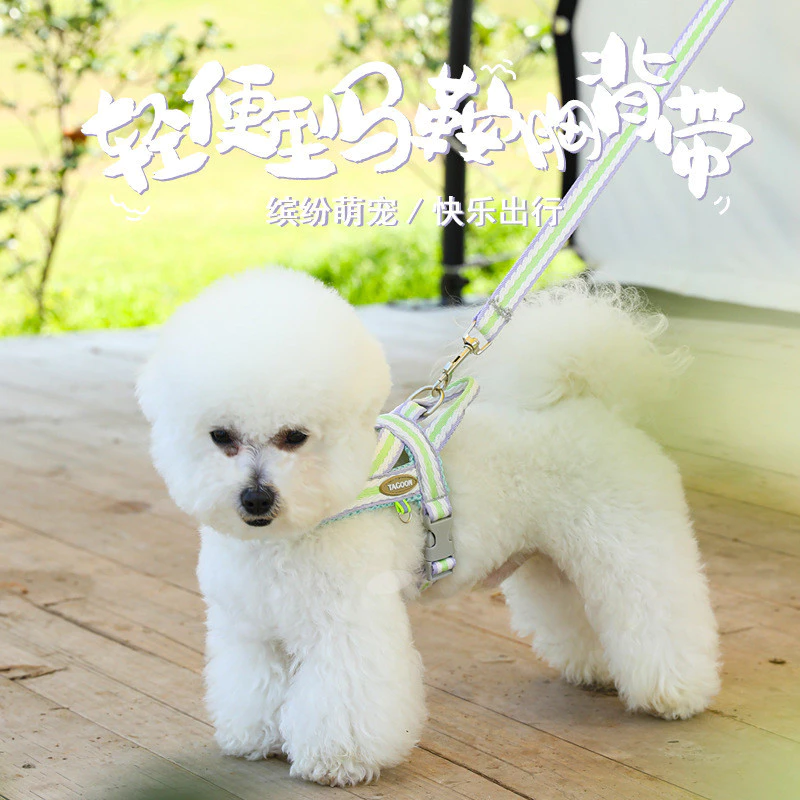 เชือกจูงสุนัขสำหรับสุนัขขนาดเล็ก