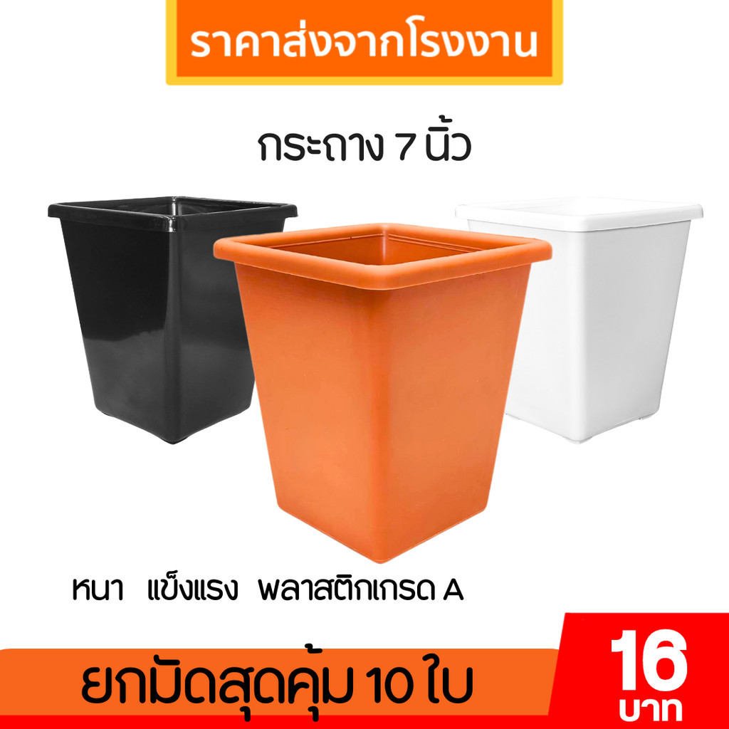 กระถาง กระถางสี่เหลี่ยม ขนาด 7 นิ้ว ทรงสูง สีดำสีขาว Bundle 10 ใบ