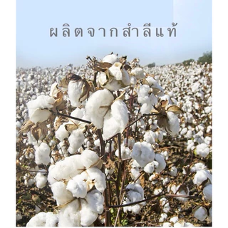 ผ้าอ้อมเด็กแรกเกิด 1ผืน ผ้าอ้อมสาลู ขนาด 27x27 นิ้ว Baby Muslin Towel