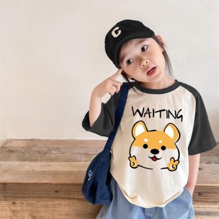 พิมพ์สุนัขขนาดเล็ก น่ารัก COD ผ้าฝ้ายแท้ เสื้อยืด เสื้อยืดเข…