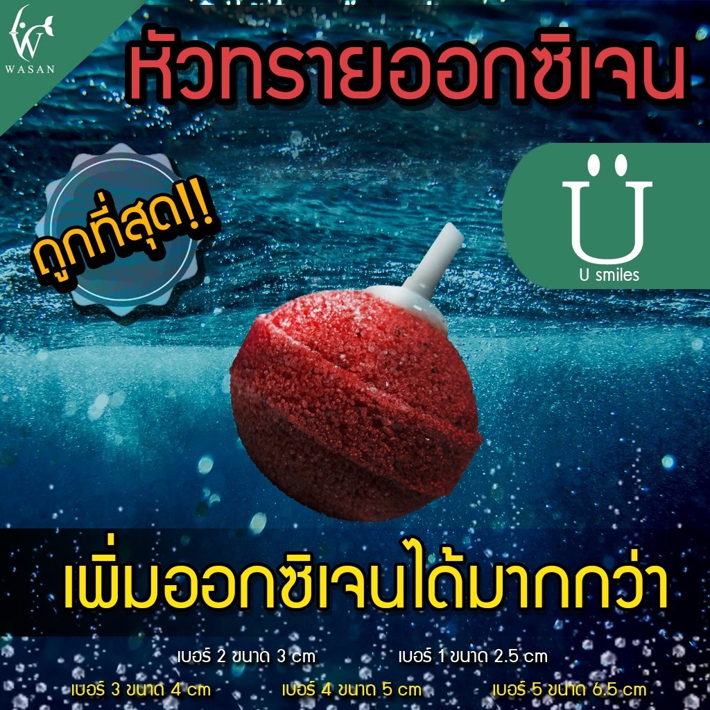 หัวทราย หัวออกซิเจน เพิ่มออกซิเจนในตู้ปลา BY ร้านวสันต์ อุปกรณ์ปลา