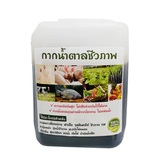 กากน้ำตาล 5ลิตร หนัก 7กิโลกรัม คุณภาพดี สำหรับเป็นอาหารจุลินทรีย์ ทำน้ำหมัก และหมักปุ๋ยทุกชนิด