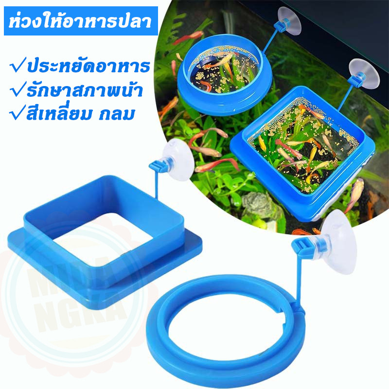 ห่วงให้อาหารปลา ที่กั้นให้อาหารปลา สำหรับใช้กันอาหารปลา ไม่ให้กระจายไปทั่วตู้ หรือตกช่องกรอง
