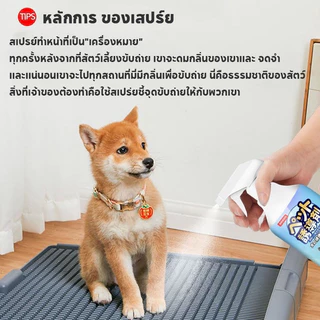 QQ PET เตรียมพร้อม500mlสเปรย์ฝึกการขับถ่าย เพียงพ่น ฝึกหมาและแมวขับถ่ายสเปรย์ฝึกขับถ่ายสุนัขสเปรย์ฝึกหมาฉี่