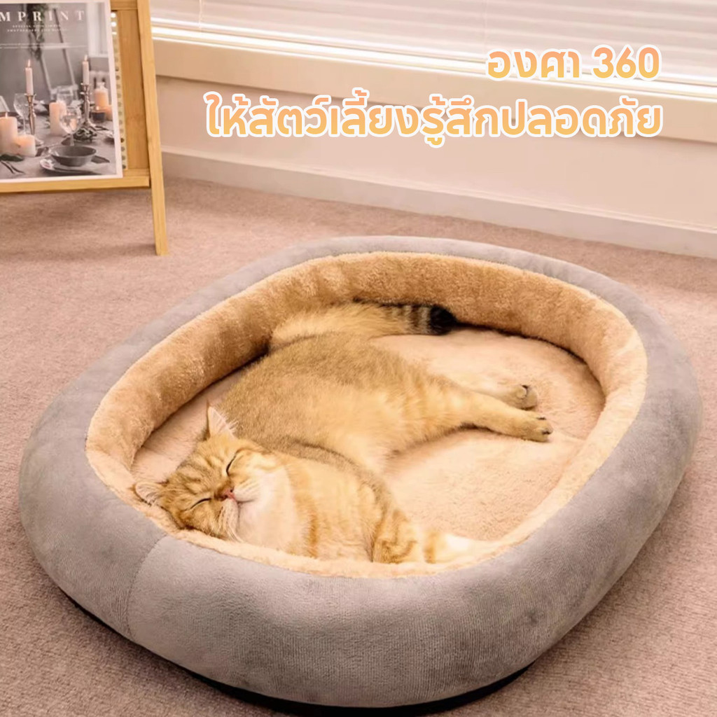 รูปภาพ 8