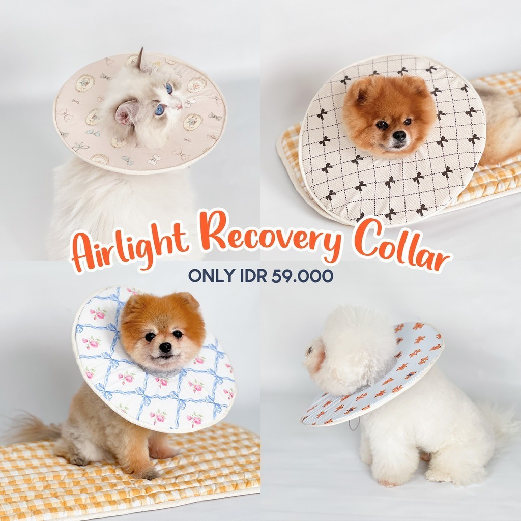 PAWLOVIN- Airlight Pet Collar น้ําหนักเบา / Soft Cone Dog Cat Protective Funnel / Recovery Collar