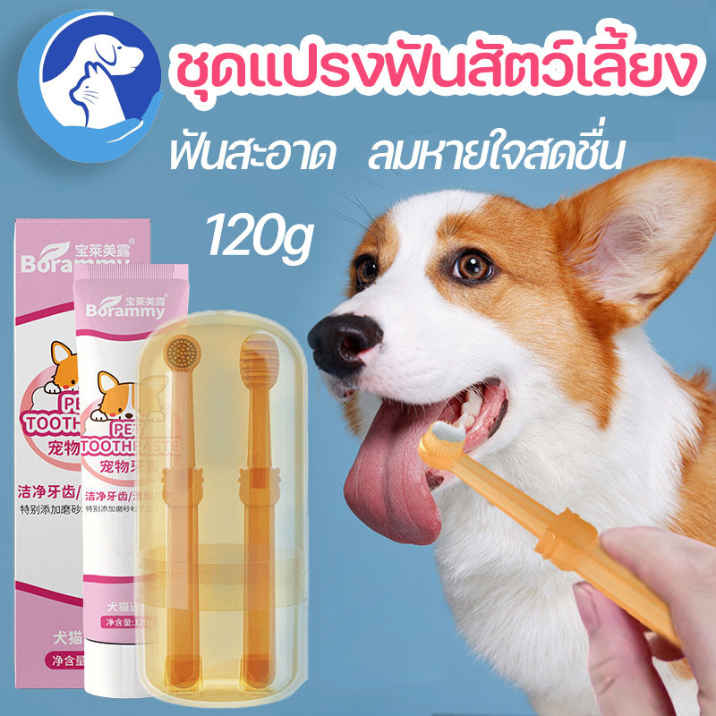 พร้อมส่ง ชุดแปรงฟันสัตว์เลี้ยง แปรงฟันหมา 120g สามารถกลืนกินได้ ลดการสะสมของแบคทีเรีย