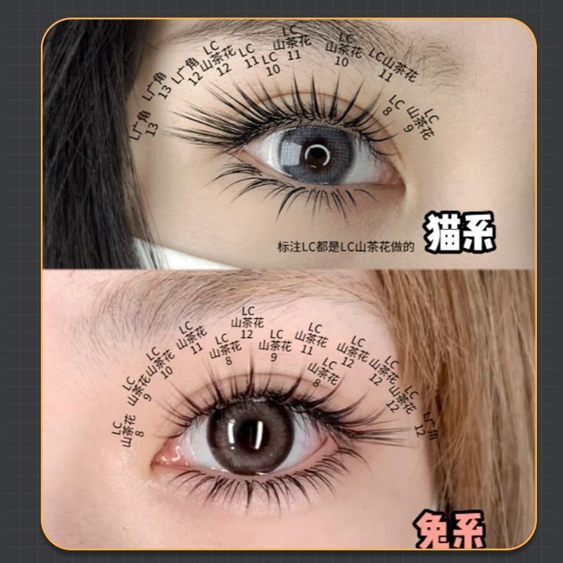 ❤Influencer สไตล์เดียวกัน❤Lc Type Grafting Eyelashes รูปแบบใหม่ L-Shaped LB Curling 0.07 Fox Series Camellia Super Soft Pick-Up Service พิเศษสําหรับร้านขนตา