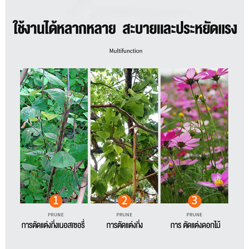 กรรไกรตัดกิ่งสําหรับทําสวน ตัดกิ่งไม้สูง สค5 ขนาด 40มม ใช้งานง่าย ตัดกิ่งไม้ ตัดต้นไม้ ตอนกิ่ง ทําสวน กรรไกรตัดกิ่ง กรรไกรบอนไซ - รูปที่ 5