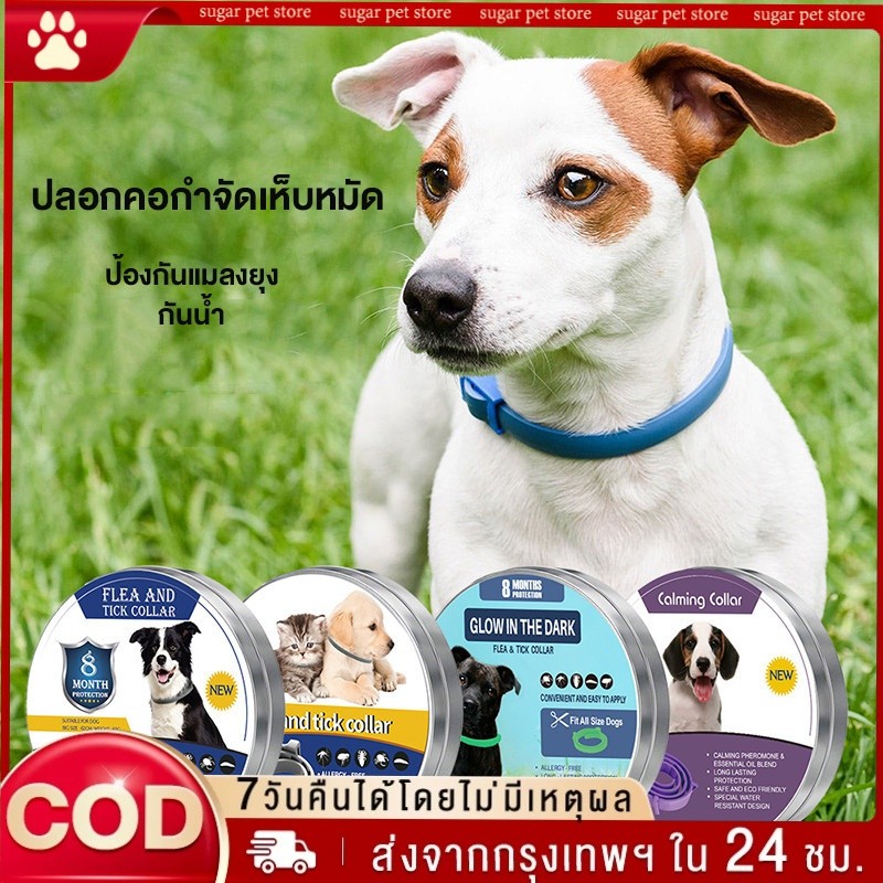 ปลอกคอกันเห็บ หมัด ยุง สุนัข แมว กันน้ำ ป้องกัน 8 เดือน Flea and tick collar