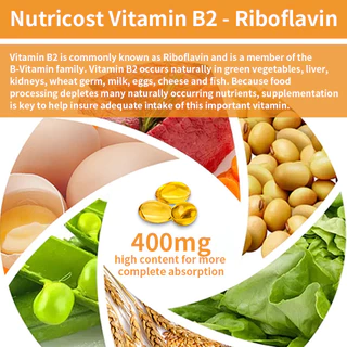 Grevip Vitamin B2 Riboflavin, 400 มก . - รองรับเลือด ระบบประสาท พลังงานและสุขภาพการเผาผลาญ อาหารเสริมรายวันที ่ ไม ่ ใช ่ จีเอ ็ มโอ