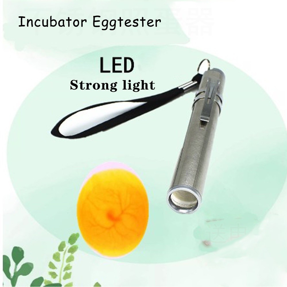Incubator Egg Candling Lamp LED Super Cold Equipment Stainless Steel Mini Poultry Incubation Flashlight No battery