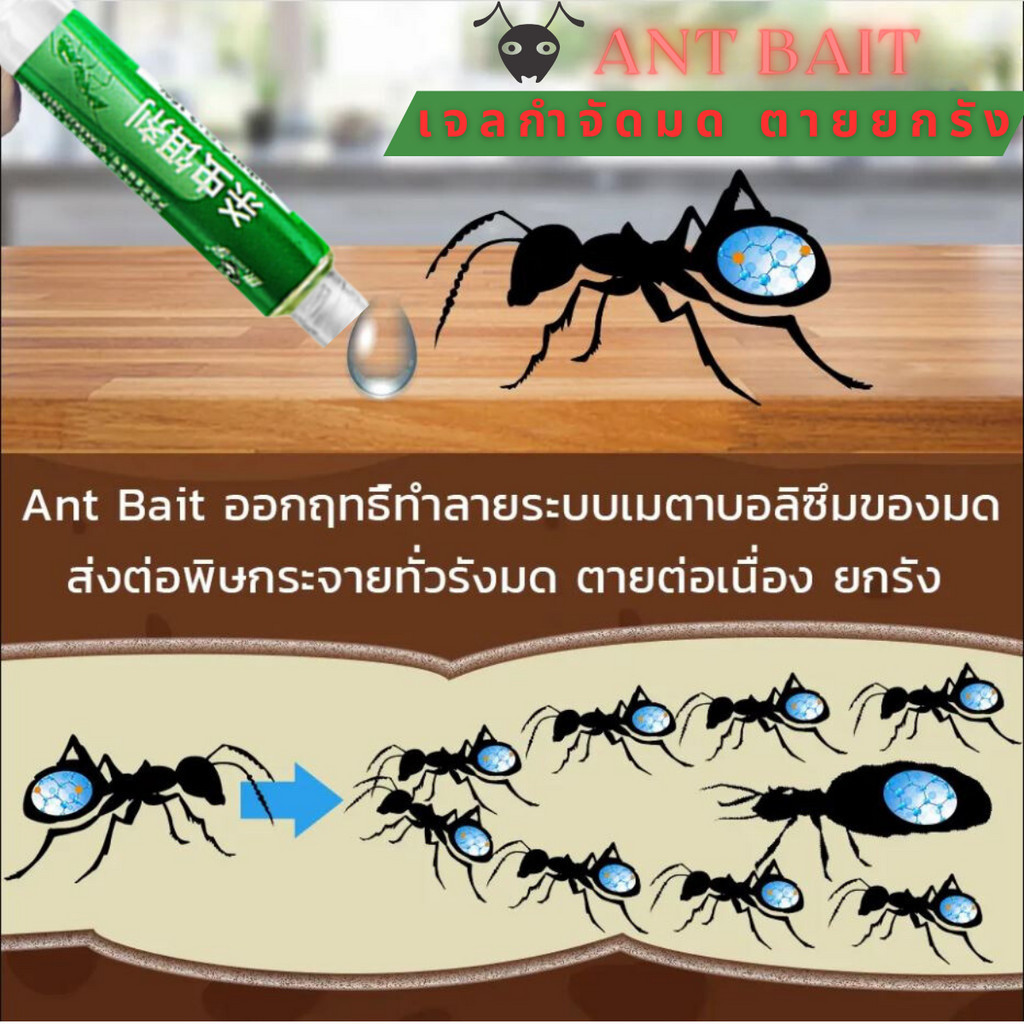 COD กำจัดมด เจลกำจัดมด เหยื่อกำจัดมด เจลมด เหยื่อฆ่ามด ยาฆ่ามด เหยื่อมด เหยื่อล่อมด