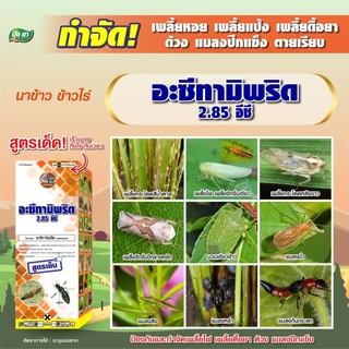 ยาฆ่าเพลี้ย อะซีทามิพริด 2.85 อีซี กำจัดเพลี้ยไฟ เพลี้ยหอย เพลี้ยแป้ง เพลี้ยดื้อยา กำจัดด้วง กำจัดแมลงปีกแข็ง