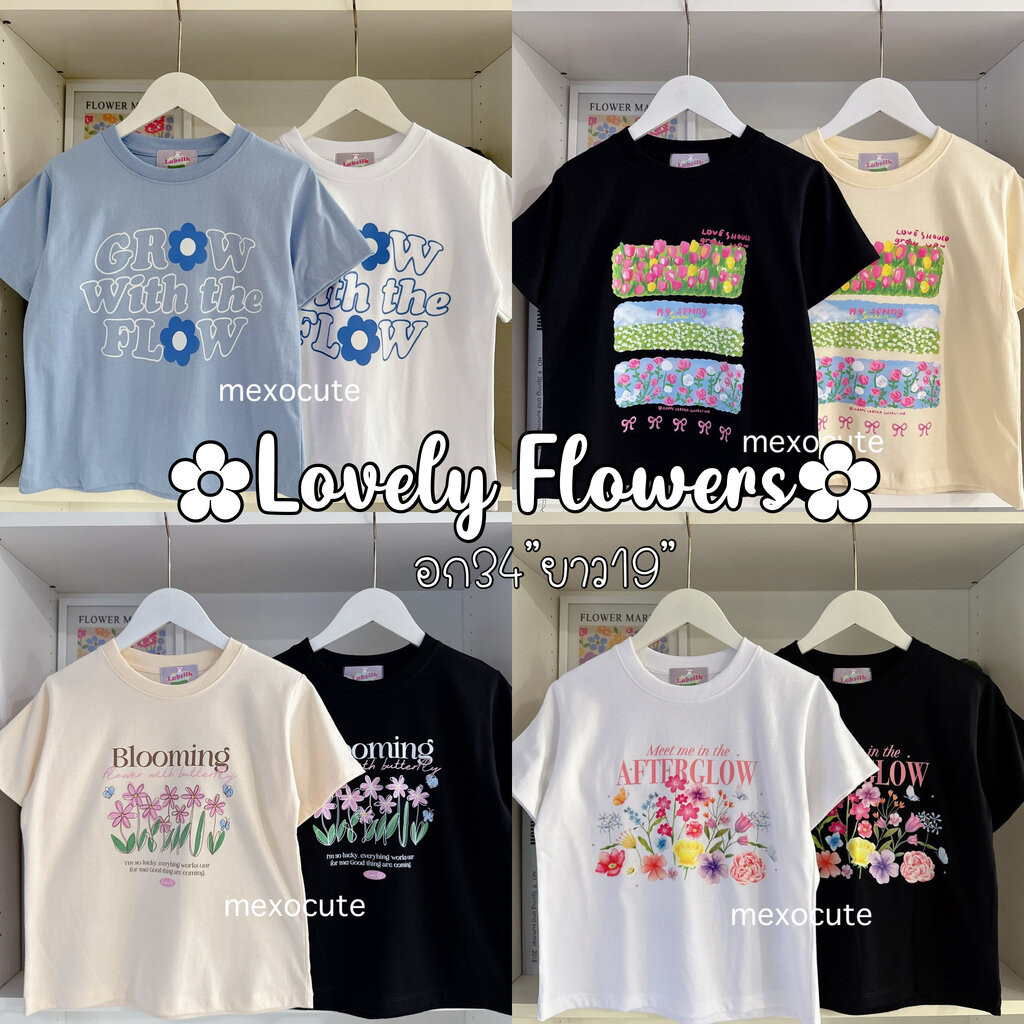 mexocute♡ (อก36”ยาว19”) LAB GIRL เสื้อครอปเบบี้ที ทรงยาวพอดีตัว