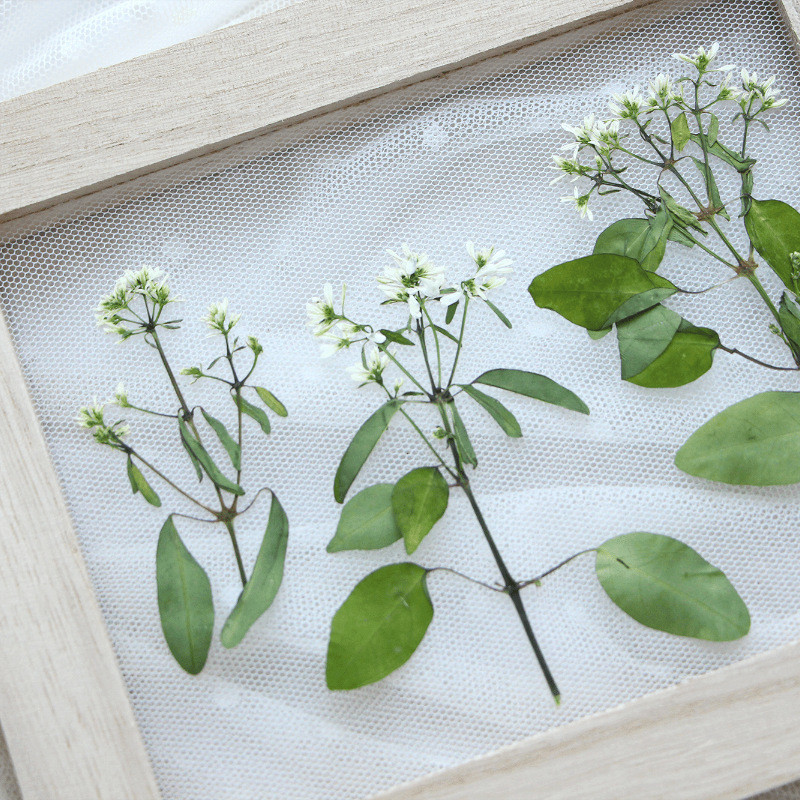 12 ชิ้นหิมะดอกไม้แห้ง DIY การ์ดบุ๊คมาร์คอุปกรณ์เสริม