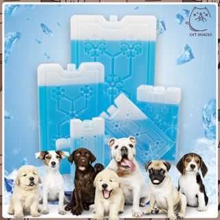 YTL Cool Ice Pack น้ำแข็งเทียม เจลเก็บความเย็น น้ำแข็งเทียมส…