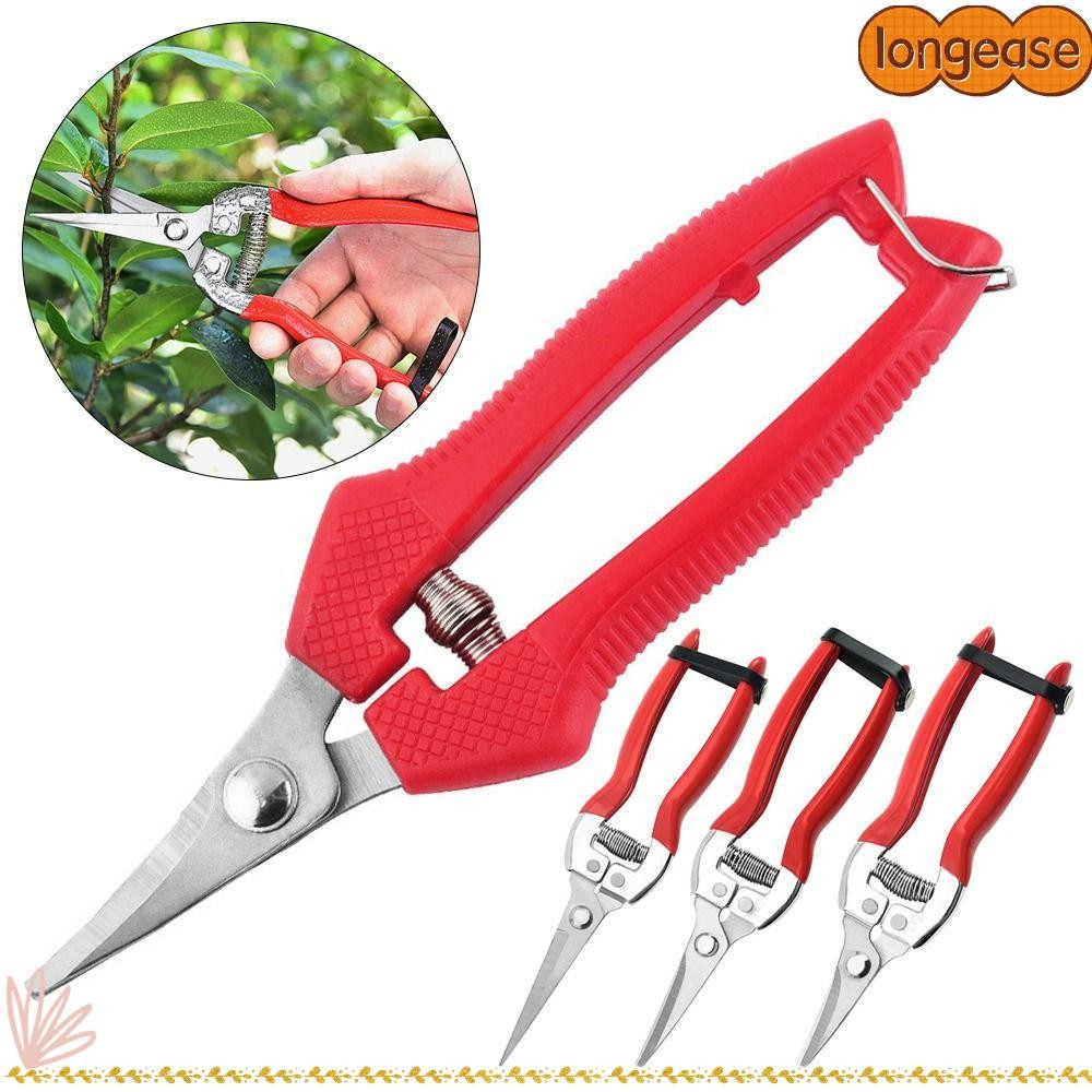 Longe 1 ชิ้นต้นไม้ตัดแต่งกิ่งเฉือน,มือ Pruner ทําสวนสวนกรรไกร,ตรง Florist กรรไกรเครื่องมือ Leaf Trimmer Micro-Tip ตัดแต่งกิ่ง Snips