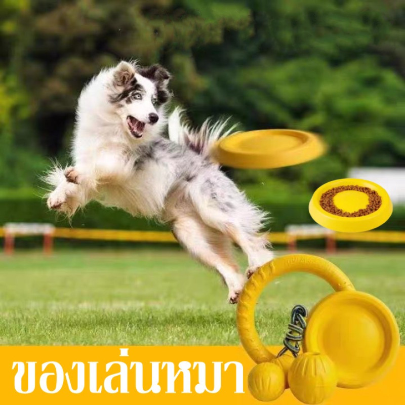 ของเล่นหมา จานร่อน ของเล่นลูกบอล แบบโต้ตอบ จานบิน ความเหนียวสูง ทนทาน ของเล่นฝึกสุนัข