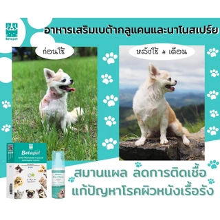 สเปร์ยนาโน Betapet ลดการติดเชื้อ ขี้เรื้อน เชื้อรา ยีสต์ คันขนร่วง ช่วยสมานแผล รักษาโรคผิวหนัง ขนาด 100 ml.