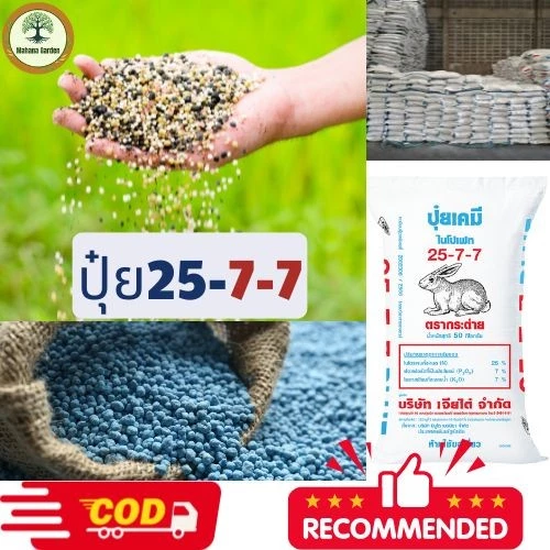 ปุ๋ย 25-7-7 - อุดมไปด้วยไนโตรเจน กระตุ้นการเจริญเติบโตของใบ ช่วยให้พืชเขียวและเพิ่มความสามารถในการสังเคราะห์แสง
