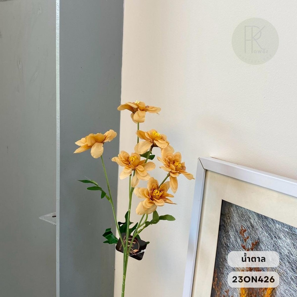 ดอกดาเลียต้น 6 ดอก  ความยาว 60 cm.หน้าดอก 8 cm. - รูปที่ 7