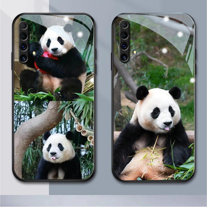 Panda Realme glass Case realmex50 x2pro Realme 10 Realme 3 Realme 5 5i 6i 5s 5pro 7i 7i 7pro 8pro v25 v13 8i 9i c11 c25y c12 c15 c2 a1k c20 c20a (HB1-1446🌹