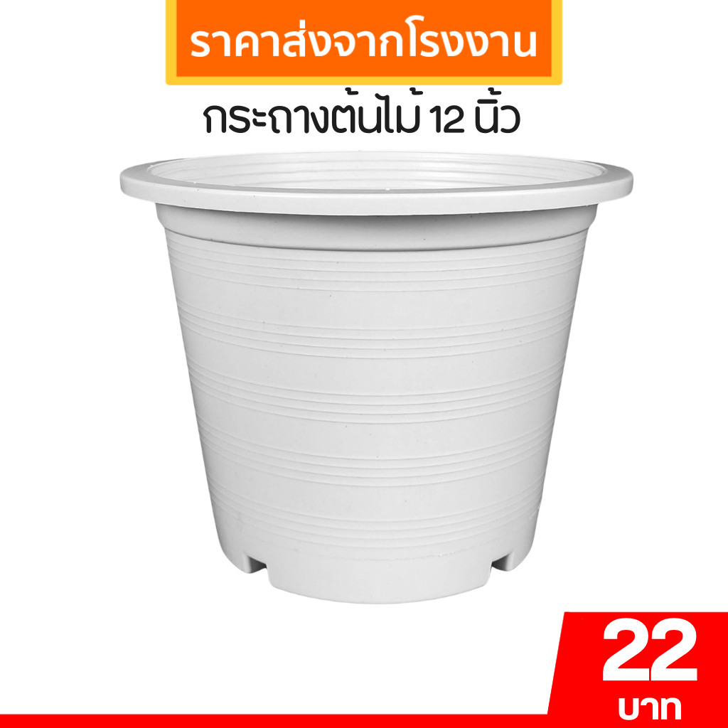 กระถาง กระถางต้นไม้ ทรงกลม เบอร์ 12 นิ้ว สีขาว Bundle 25 ใบ