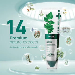Dentiste' ยาสีฟันแปรงแห้ง Anticavity Max 10g.