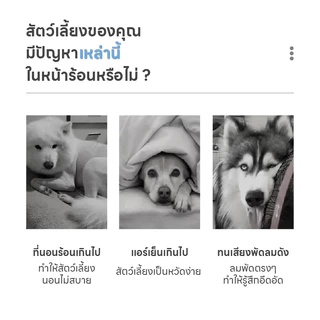 FurryCuddle พร้อมส่ง ที่นอนเจลเย็น เบาะเย็น สัตว์เลี้ยง ที่นอนเจลเย็น แผ่นเจลเย็น แผ่นเจลเย็นแมวสุนัข COD PU87