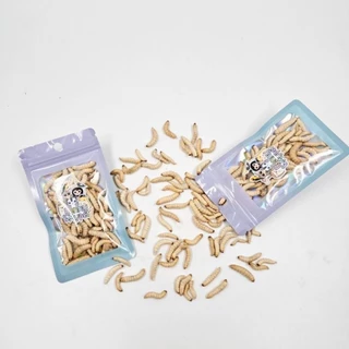 หนอนแว๊กซ์ฟรีซดราย 10 กรัม [ แห้ง ] สำหรับชูการ์ เม่นแคระ ลิง กระรอก แฮมสเตอร์ บุชเบบี้