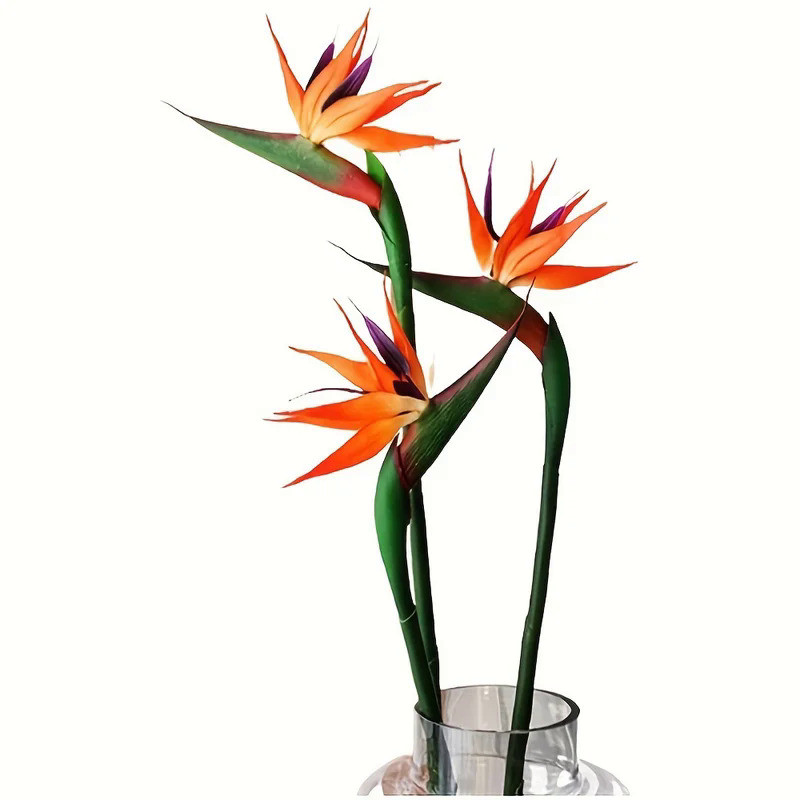 3pcs Artificial Bird Of Paradise Flowers Rubber Strelitzia 24.5'' Long Stem Flower Suitable For DIY 