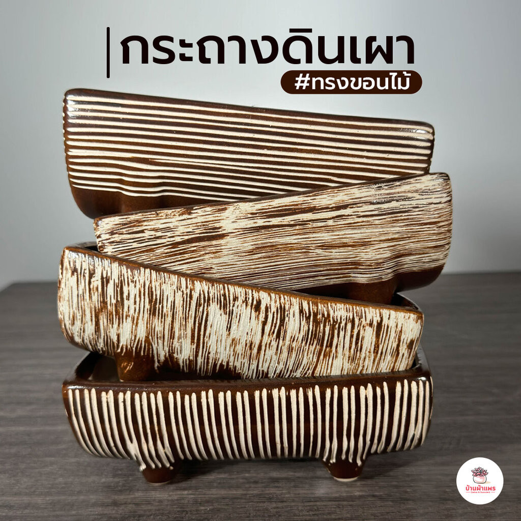กระถางดินเผา #ทรงขอนไม้ กระถางต้นไม้ แคคตัส กระบองเพชร ไม้อวบน้ำ Cactus&Succulent