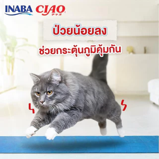((ยกกล่อง/ยกเซ็ท-6แพ็ค)) CIAO Sugoi Crunchy อาหารเม็ดแมว เกรดพรีเมี่ยม สูตรเสริมพรีไบโอติก (Prebiotics)