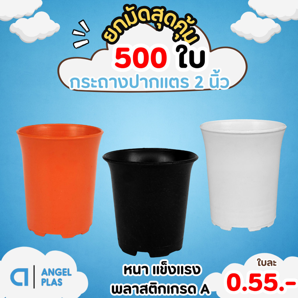 กระถาง กระถางแคคตัส กระถางปากแตร 1.9 2 นิ้ว สีขาว Bundle 100 ใบ