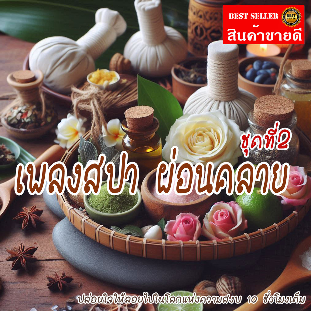 เพลงสปา mp3 (ชุดที่ 2) SPA Music สำหรับร้านนวด เพลงร้านสปา ผ่อนคลาย บำบัดจิตใจคลายเครียด แฟลชไดร์ฟ USb Mp3