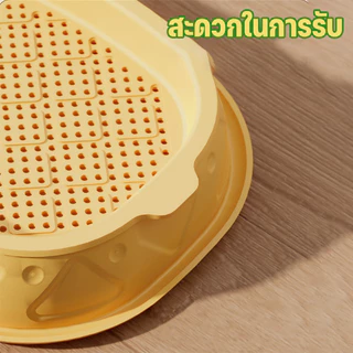 ชุดปลูกข้าวสาลีแมว หญ้าแมว เมล็ดพืช 5 แพ็ค นํากลับมาใช้ใหม่ได้ ไฮโดรโปนิกส์ หญ้าแมวออแกนิก