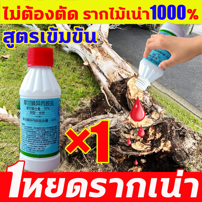 1หยดรากเน่ายาฆ่าตอต้นไม้ ยาฆ่าต้นไม้ใหญ่ ยาฆ่าต้นไม้ ยาฆ่าไม้ไผ่ 200ml เข้มข้นสุด ตรงไปที่ราก รากเน่ารากตาย ยาฆ่ากอไผ่ ย