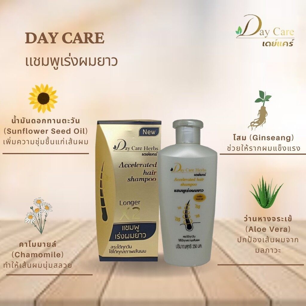 Day Care Herbs เดย์แคร์ แชมพูเร่งผมยาว ยาวเร็วเป็น 2 เท่า ขนาด 250 มล.