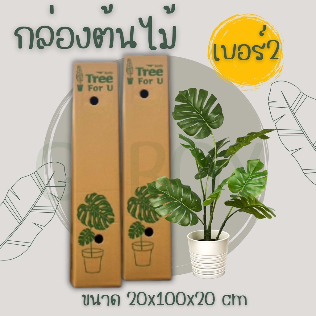 ++QBox7++ สินค้าคุณภาพ! กล่องต้นไม้ เบอร์ 2 ลูกฟูก 5 ชั้น (จำนวน 5 ใบ) ส่งฟรี