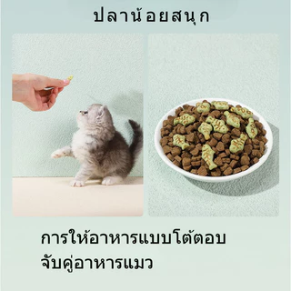COD คุกกี้มิ้นท์แมว 1000g ขนมแมว ลูกแมวอ้วน ย่อยง่ายและดูดซึม ขนมแมวฟรีซดราย