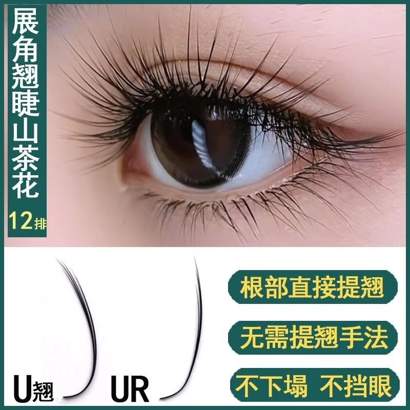 U ขนตามุมกว้างขยายขนตา Camellia Grafted Eyelashes UR ไม่ต้องยกไม่ยุบตัวต่อขนตาสไตล์จีนพิเศษ