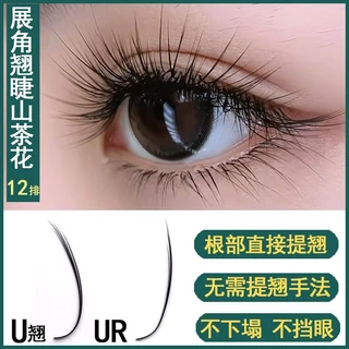 U ขนตามุมกว้างขยายขนตา Camellia Grafted Eyelashes UR ไม่ต้องยกไม่ยุบตัวต่อขนตาสไตล์จีนพิเศษ